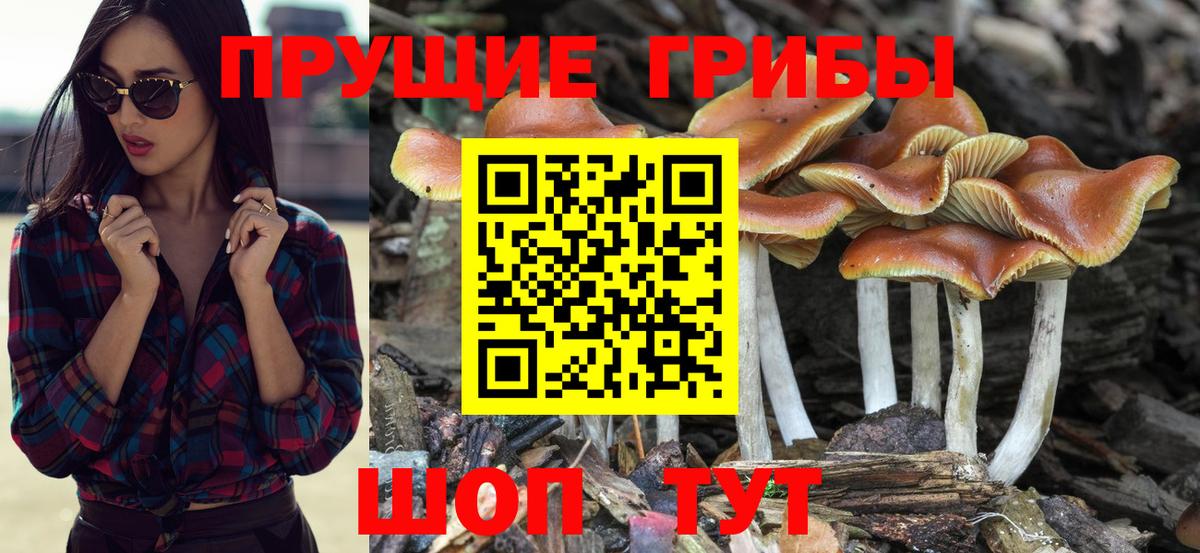 Псилоцибиновые грибы GOLDEN TEACHER Отрадное